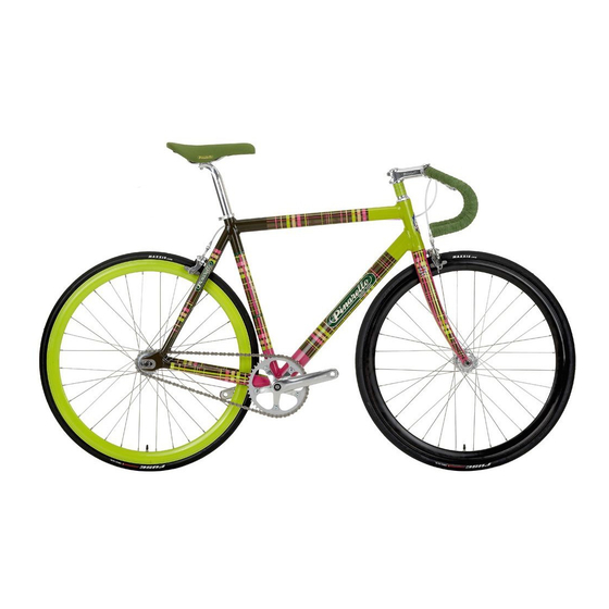 PINARELLO LUNGAVITA Assembly Instructions Manual