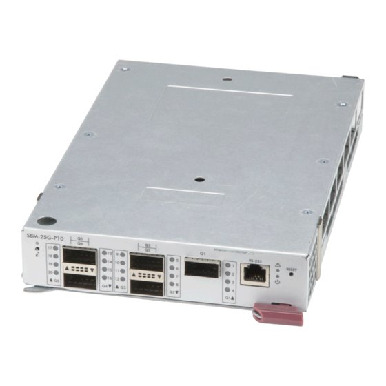 Supermicro SBM-25G-P10 User Manual