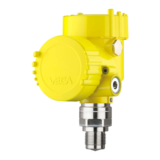 Vega VEGAPULS 6X Series Safety Instruction