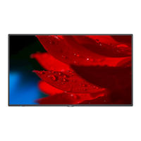 NEC MultiSync P555 User Manual