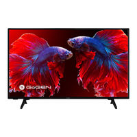 Gogen TVF40P750T Manual