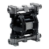 Piusi MP Instructions For Use And Maintenance Manual