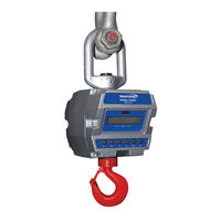 Intercomp CS3000 User Manual