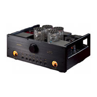 Allnic Audio L-5000 DHT Owner's Manual