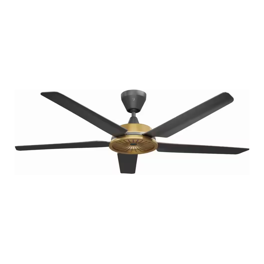 BIG ASS FANS SPEAKEASY Manual
