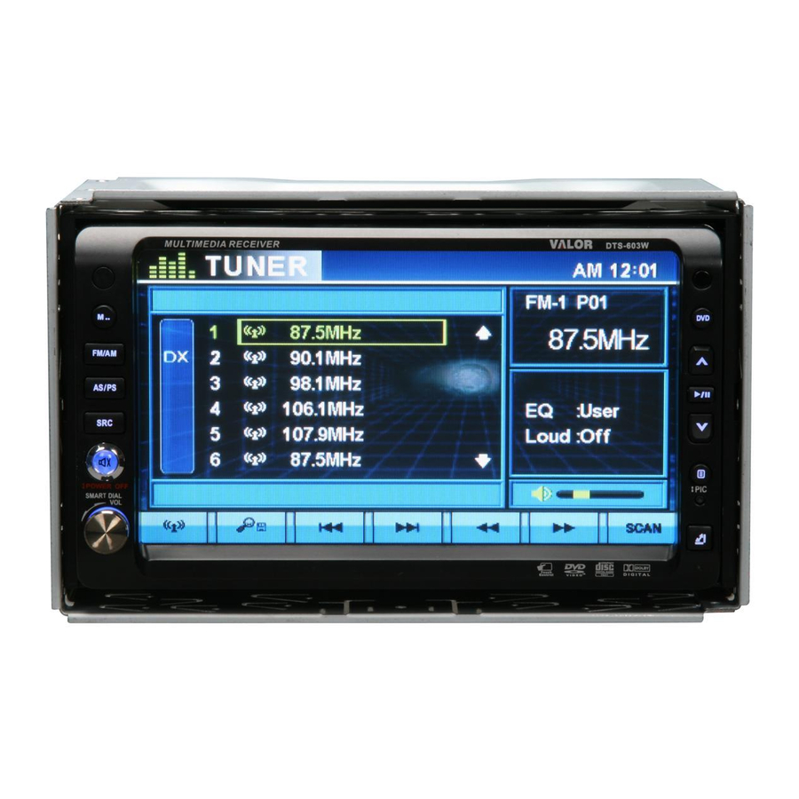 Valor DTS-603W Owner's Manual