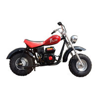 RPS Falcon 200 Owner's Manual