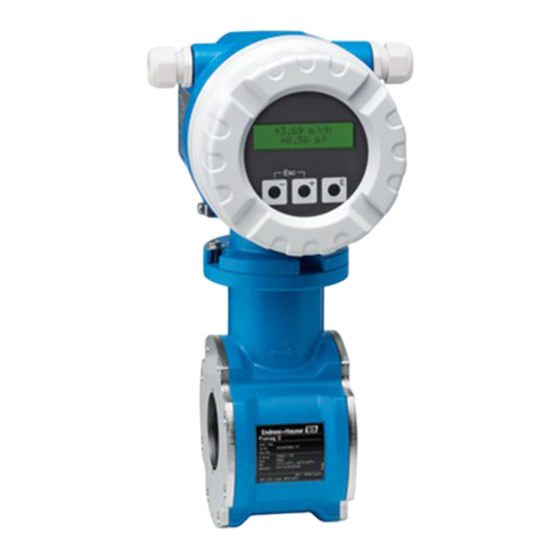 Endress+Hauser Proline Promag 10D Technical Information