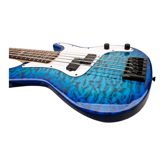 CARVIN P-SERIES Manual