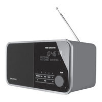 Grundig TR 2200 DAB Plus Manual