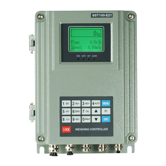 Supmeter BST100-E11 Operation Manual
