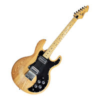 Peavey T-60 Owner's Manual