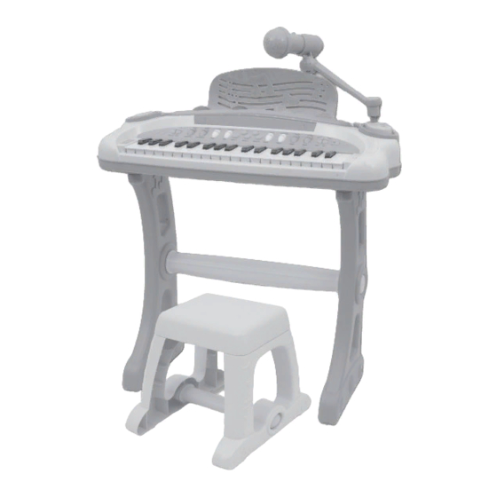 Bontempi 13 3641 Owner's Manual