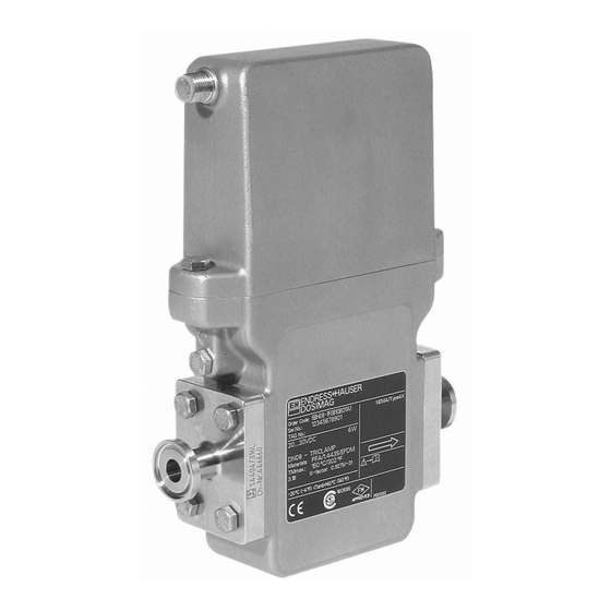 Endress+Hauser Dosimag Operating Instructions Manual