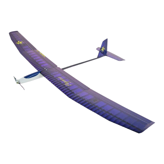 Topmodel CZ Pegasus 2M Manual