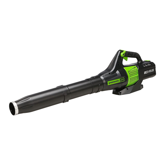 GreenWorks Pro 2402302 Owner's Manual