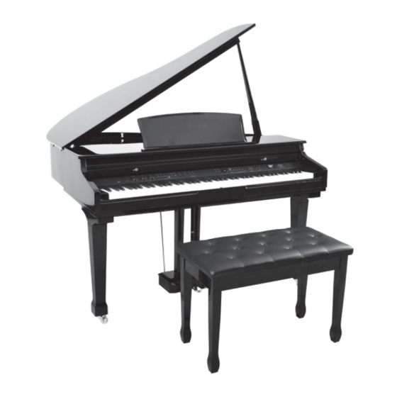 Artesia Pianos AG-28 Owner's Manual