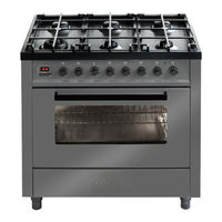 ILVE PROFESSIONAL P09 User Manual