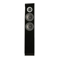 SB Acoustics Rinjani Be User Manual