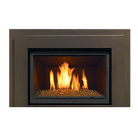 Regency Fireplace Products L540E Owners & Installation Manual