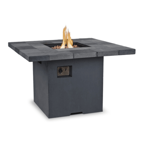 RealFlame 11624LP Owner's Manual