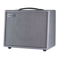 Blackstar SILVERLINE STANDARD User Manual