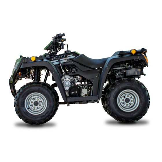 ATV 250  Manual