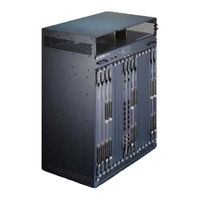 ZyXEL Communications IES-6000 - ANNEXE 749 Brochure & Specs