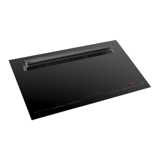 AIRFORCE Aspira Induction slim g5 OCTA Instruction On Mounting And Use Manual