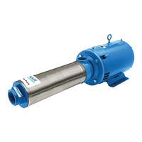 Xylem GOULDS 70HB Installation, Operation And Troubleshooting Manual