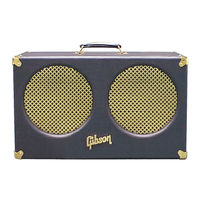 Gibson Goldtone GA-60RV Operating Instructions Manual