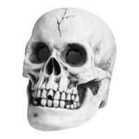 RUSTA SKULL Manual