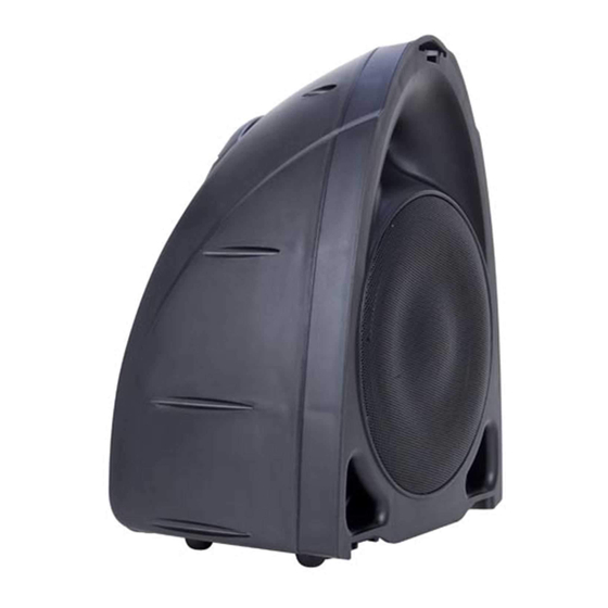 American Audio PPA-210 User Manual