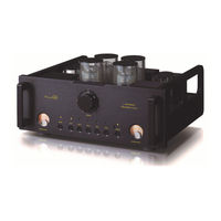 Allnic Audio L-8000 DHT Owner's Manual