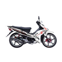 Nipponia BRIO 125-3 Owner's Manual