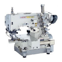 Pegasus WT169-08A Instructions Manual