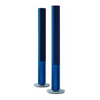 Bang & Olufsen - BeoLab 1
