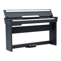 Medeli CDP6000 Owner's Manual