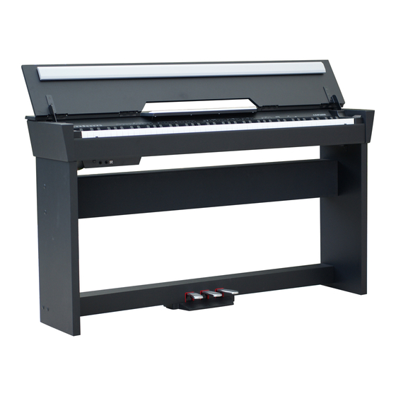 Medeli CDP6000 Owner's Manual