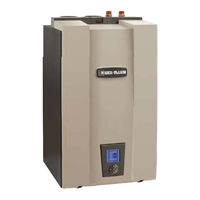 Weil-McLain WM97+110-CT Manual