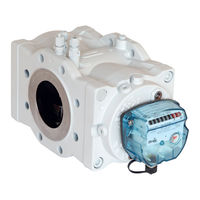ITRON Delta Series Instruction Manual