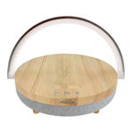 PRIXTON SPEAKER LIGHT Manual