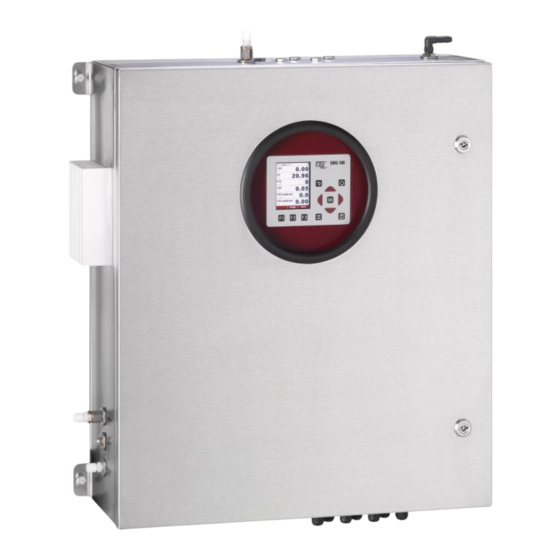 mru SWG 100 SYNGAS - Ex User Manual