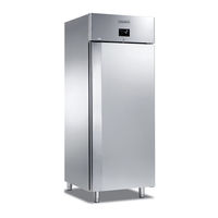 Everlasting ICE 100 BTST User Instruction