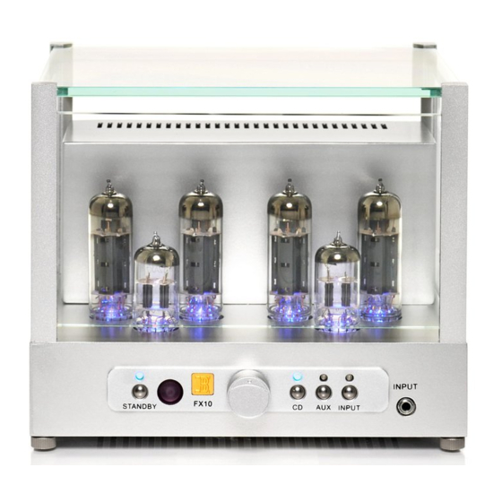 Black Ice Audio GLASS FX10 Owner's Manual