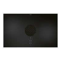 bora Pure User Manual