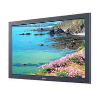 Sony FWD-50PX3/BT Protocol Manual