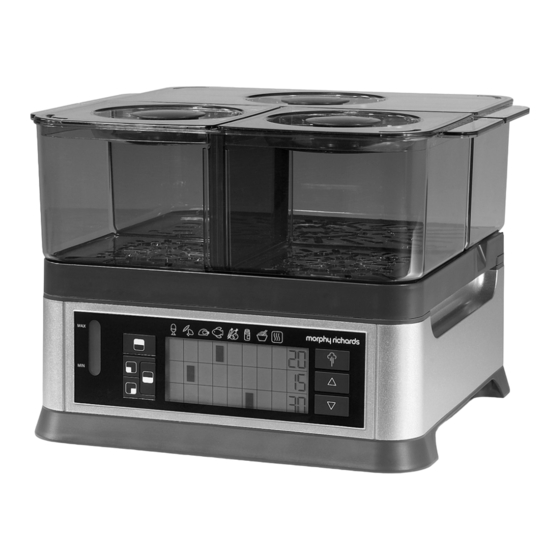 Morphy Richards Intellisteam Manual