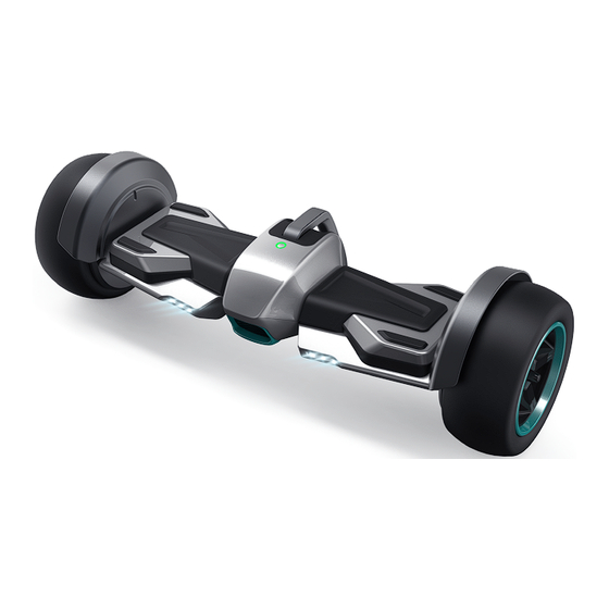 Bluewheel HX600 User Manual