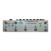DC Pedals 5-Channel Bluetooth Looper User Manual